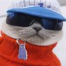 Profilbild von dippo