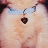 Profilbild von Angel