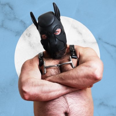 The Pumped Pup's profile picture