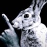Profilbild von the queen