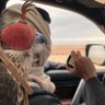 Фото профиля حامد