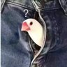 Profilbild von 俺不中了