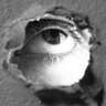 Фото профиля BibinosNo1Stan