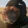 bigbabyjayy's profile picture