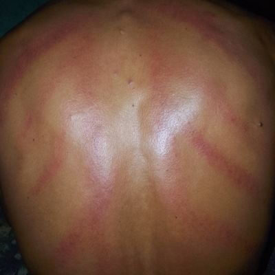 taop59115's profile picture
