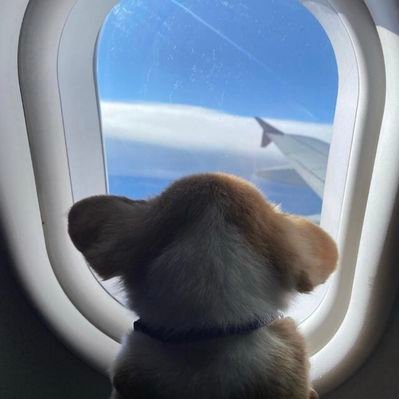 bbhisparked's profile picture