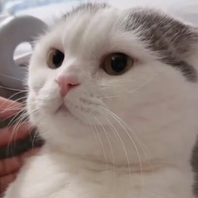 itampp's profile picture
