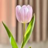 Фото профиля 明月清风与我