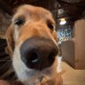 Chim Richalds profil fotoğrafı