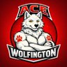 Ace Wolfington profil fotoğrafı