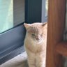 Null p's profile picture