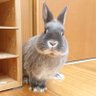 Profilbild von RORO