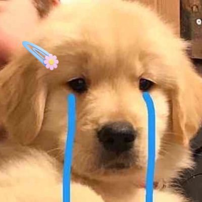 คูมณอชอ𓈒🍎 𓏸's profile picture
