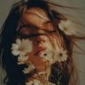 the white flower 的头像