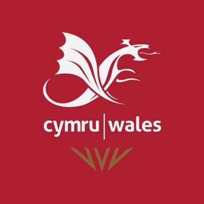 Tîm Cymru 🏴󠁧󠁢󠁷󠁬󠁳󠁿 Team Wales's profile picture