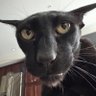 yurretri's profile picture