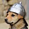 Profilbild von こいぬ