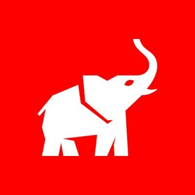 Animal Político's profile picture
