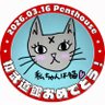 私ちゃんは猫🐈's profile picture