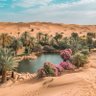 ✨ SOO ✨🇴🇲 的头像