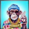 AltiMate 的头像