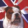 Mark Thompson's profile picture