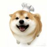 Profilbild von 3i阿特拉斯