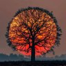 Alit Dekpit's profile picture