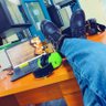 Фото профиля 🖤Oluwaseun👨💻📊