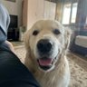 明天太短记不住 profil fotoğrafı