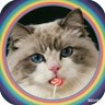 Daidai Hajidin's profile picture