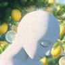Profilbild von jeet lemon