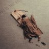 Фото профиля موشکش