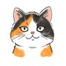 Profilbild von トコ猫｜人間観察中🐱