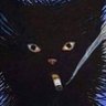 d's profile picture