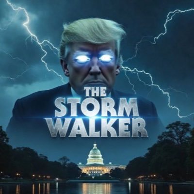 THE STORM WALKER's profile picture