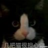 我车掉沟里了's profile picture