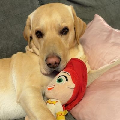 Cream's profile picture