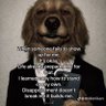 officialpanic profil fotoğrafı