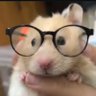 Jeff's profile picture