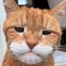 sendaa profil fotoğrafı