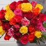 Rose de Villeneuve profil fotoğrafı