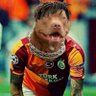 Wilfried Terim Sk 的头像