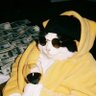 Profilbild von Meong Judes~