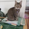 Profilbild von Eddie Catson