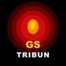 GS Tribün 的头像
