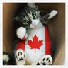 Profilbild von Marley 🇨🇦 🍁
