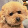イコルキ profil fotoğrafı