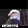 KanatGümbürdetenJAKOBS's profile picture