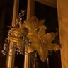 Фото профиля شـوق